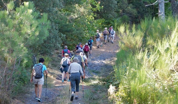 Randonner en Cévennes.